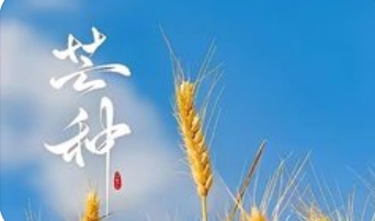 芒种时节的气候特点_现代网新闻频道