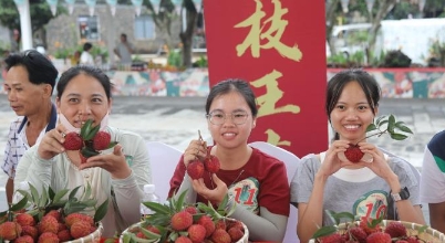 海口火山荔枝王大比拼 单颗拍卖出6.8万元高价_现代网新闻频道